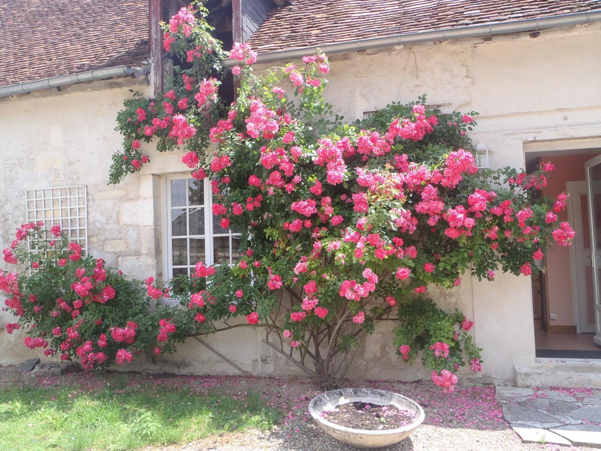 Chambres D'Hotes Du Domaine De Jacquelin Saint-Germain-du-Puy Zimmer foto